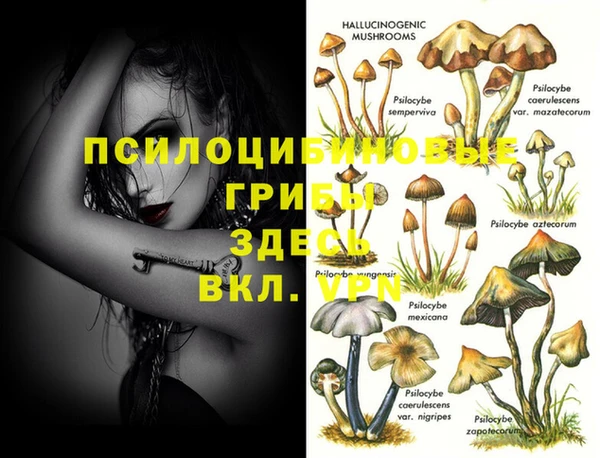 дурь Баксан